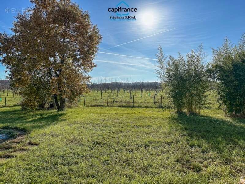 Maison à SAINT-VITE