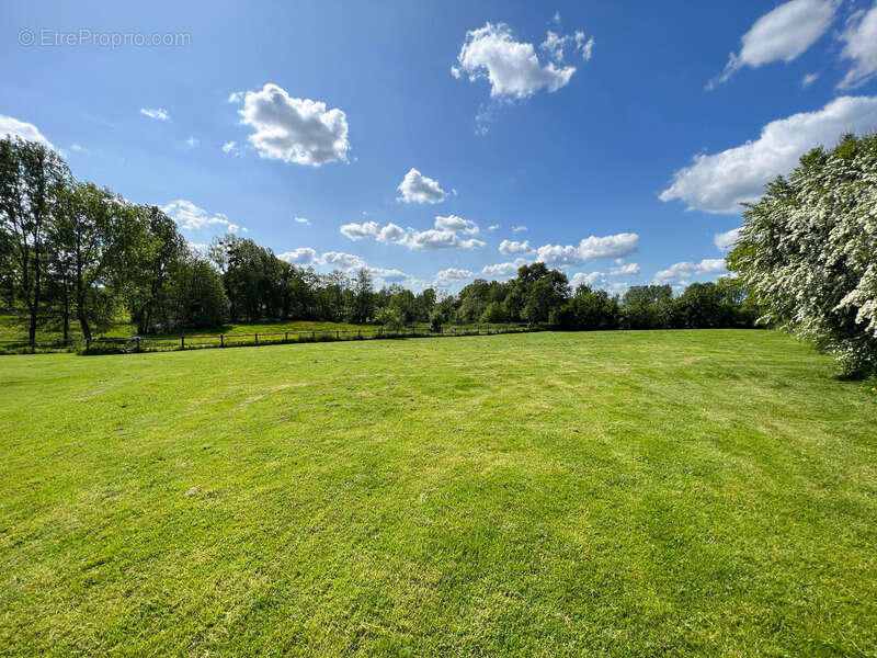 Commerce à BAGNOLES-DE-L&#039;ORNE