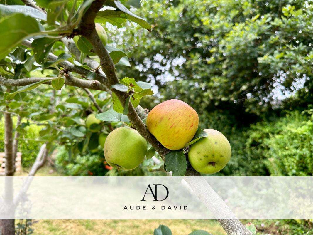 Maison à ERGUE-GABERIC