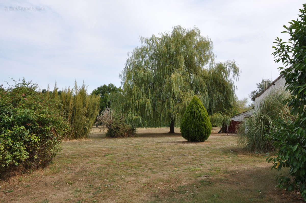 Maison à NEUILLY-EN-DONJON