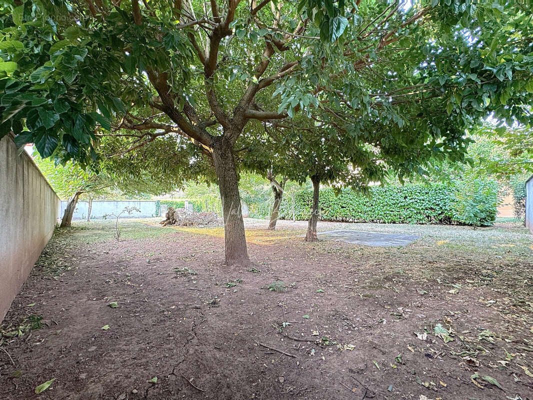 Terrain à SAINT-AFFRIQUE