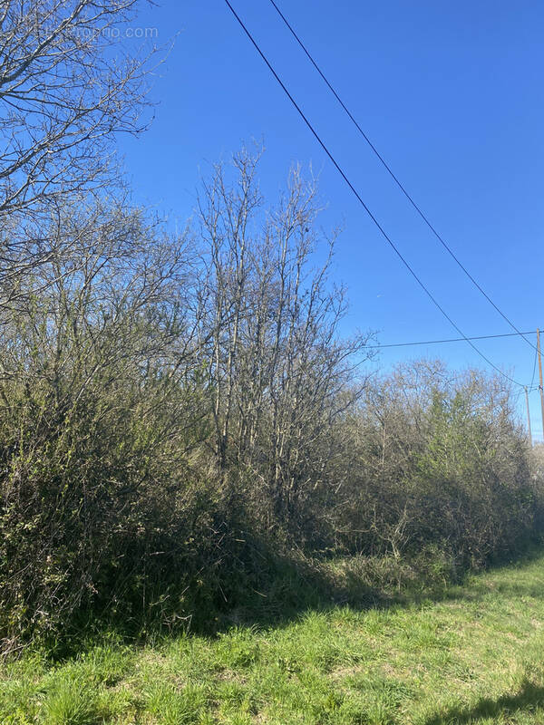 Terrain à SAINT-GILLES-CROIX-DE-VIE