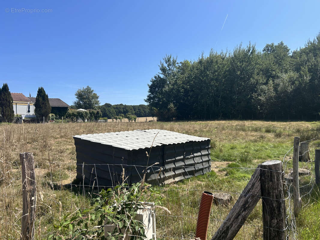 Terrain à MONTREUX-JEUNE