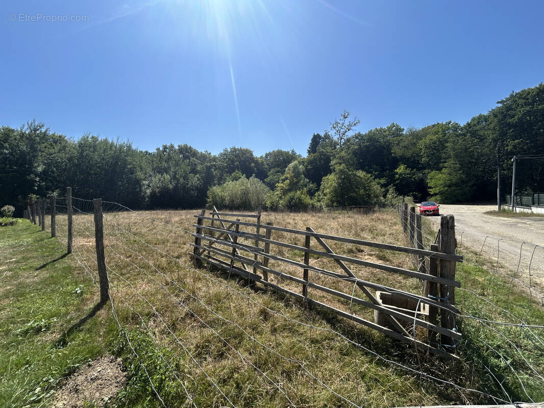 Terrain à MONTREUX-JEUNE