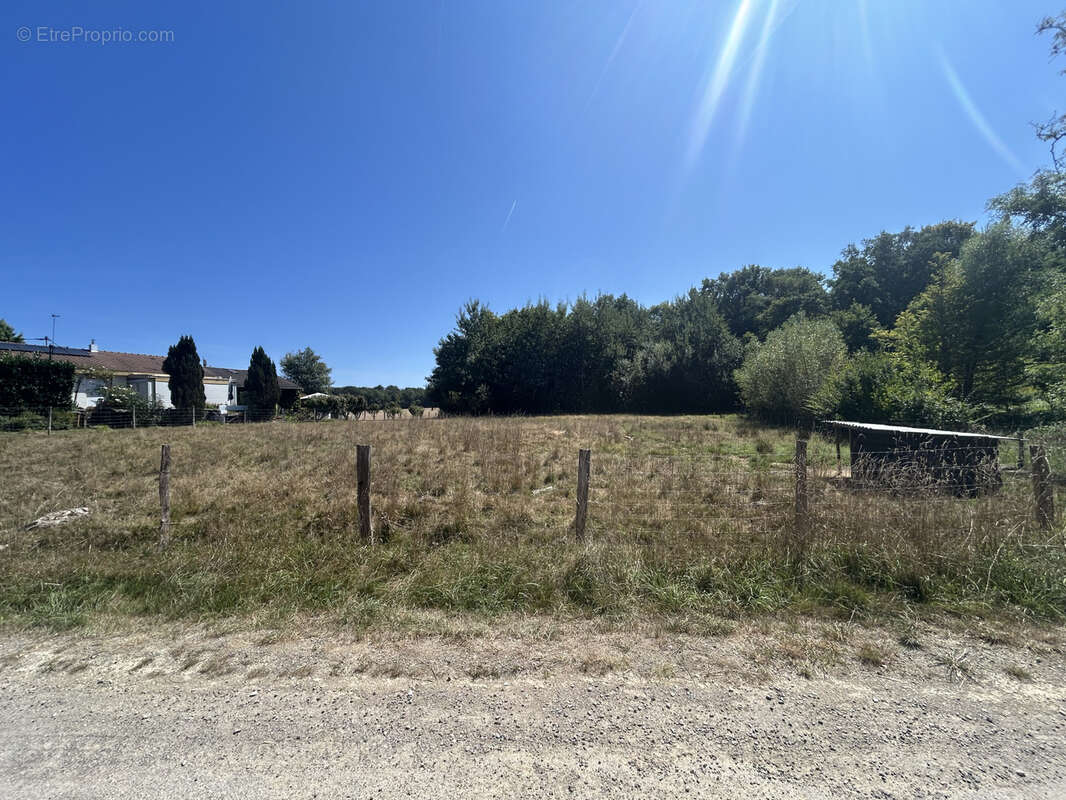 Terrain à MONTREUX-JEUNE