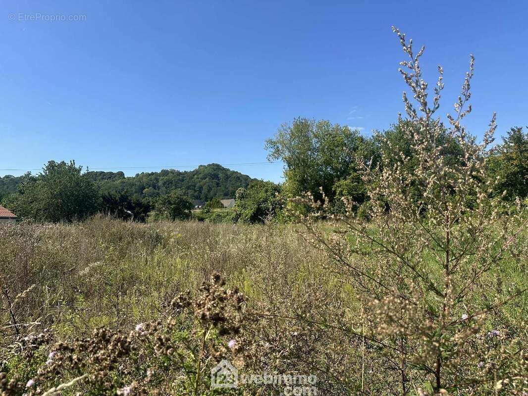 Vous serez séduits par cette façade de 21 mètres - Terrain à LAON