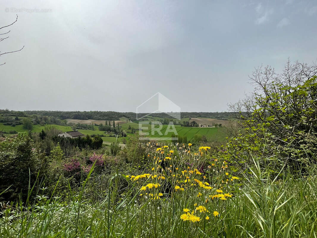 Maison à CASTELNAU-DE-MONTMIRAL