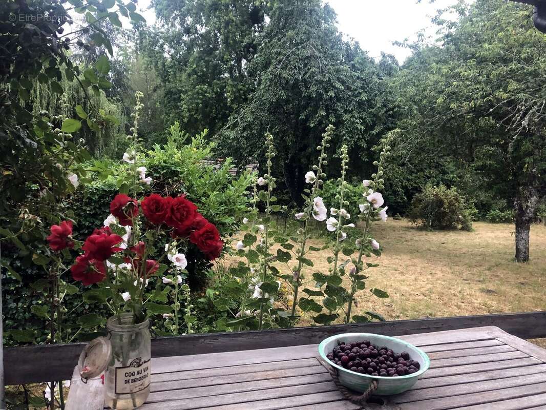 Maison à PASSAVANT-LA-ROCHERE