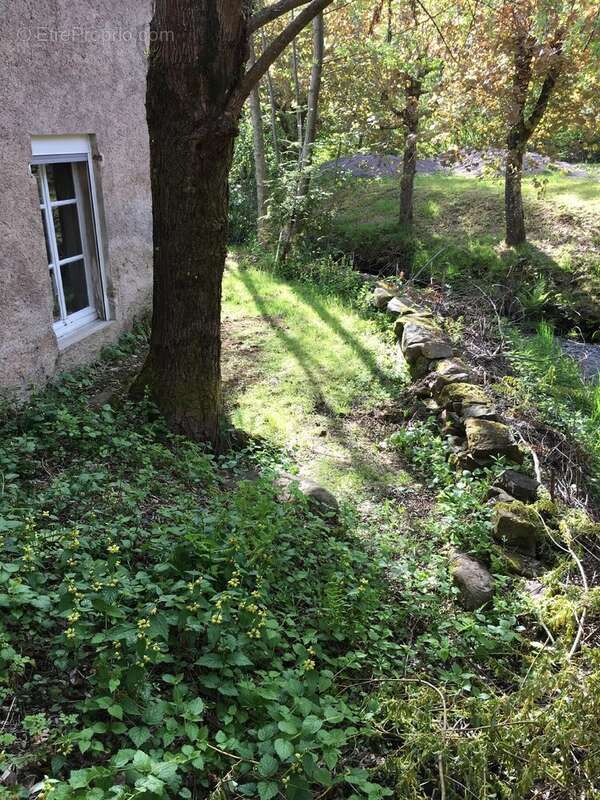 Maison à PASSAVANT-LA-ROCHERE
