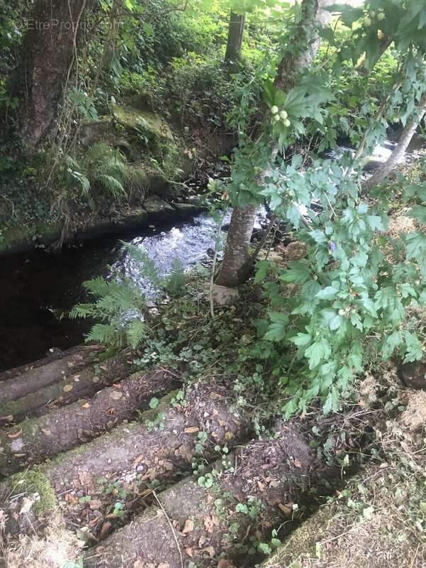 Maison à PASSAVANT-LA-ROCHERE