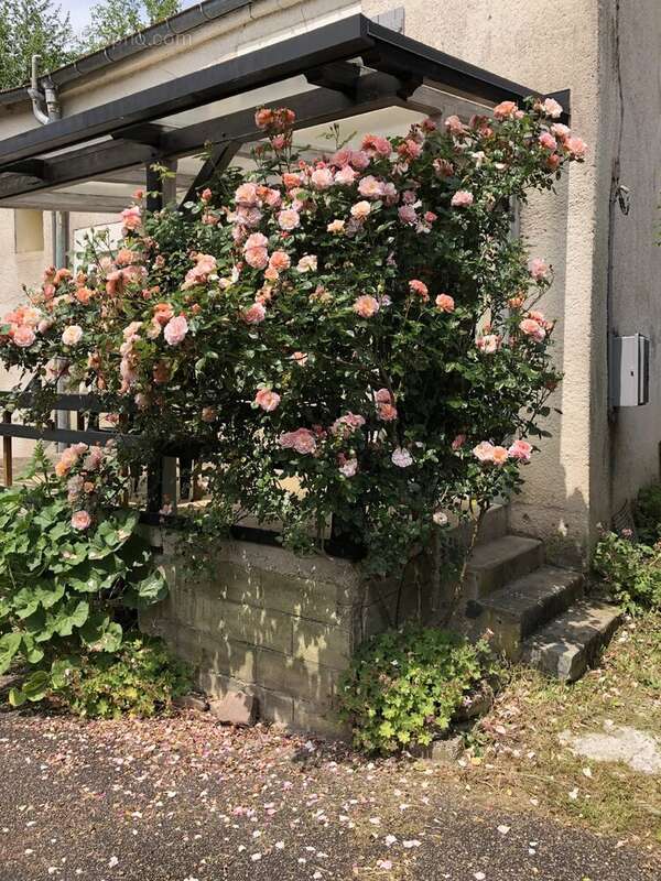 Maison à PASSAVANT-LA-ROCHERE