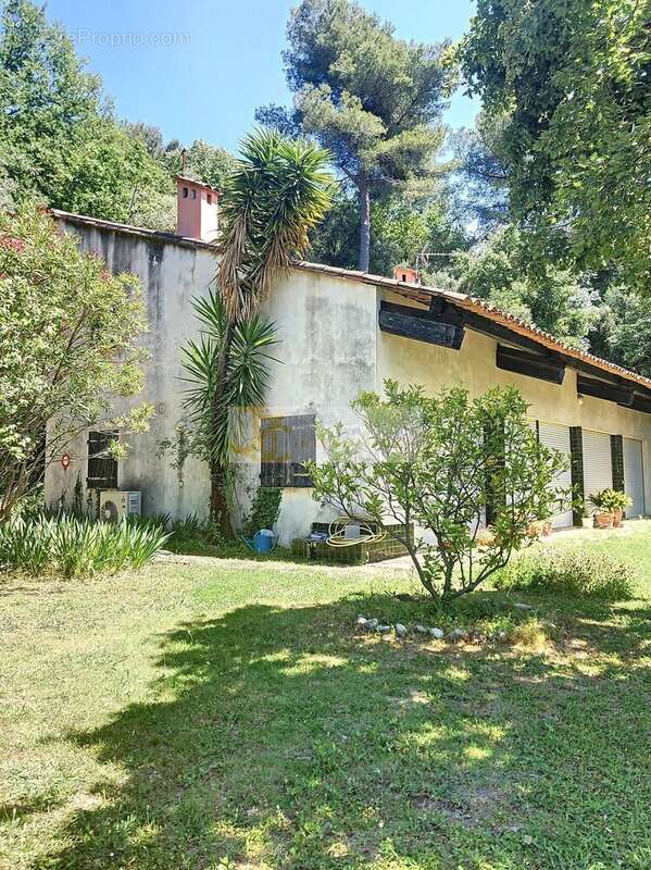 Terrain à SAINT-PAUL