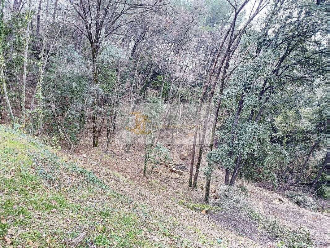 Terrain à SAINT-PAUL