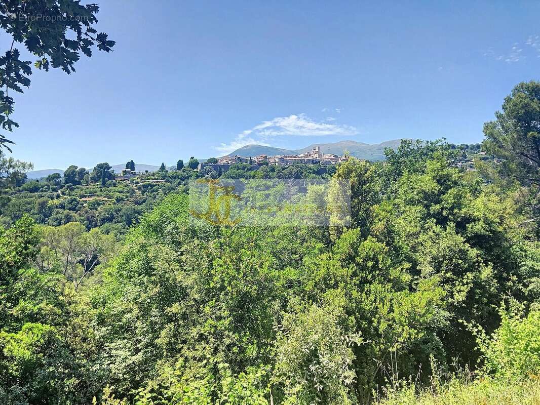 Terrain à SAINT-PAUL