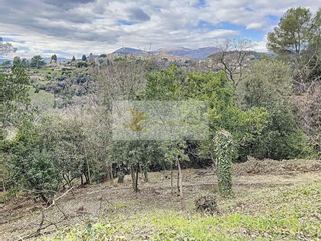 Terrain à SAINT-PAUL