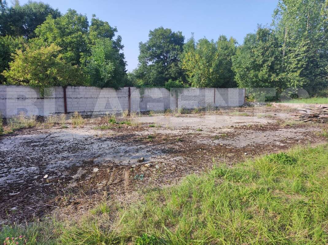 IMG_20250809_183833 - Terrain à MONTMIRAIL