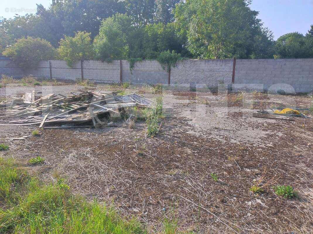 IMG_20250809_183944 - Terrain à MONTMIRAIL