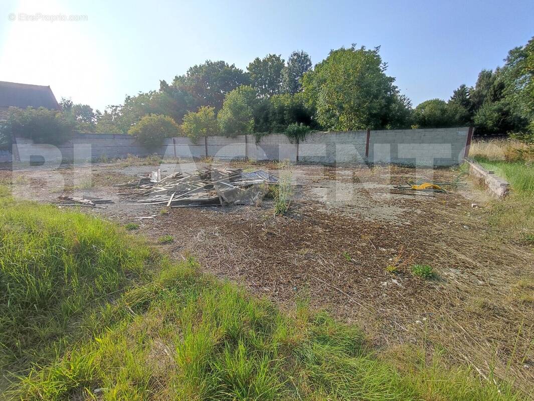 IMG_20250809_183948 - Terrain à MONTMIRAIL