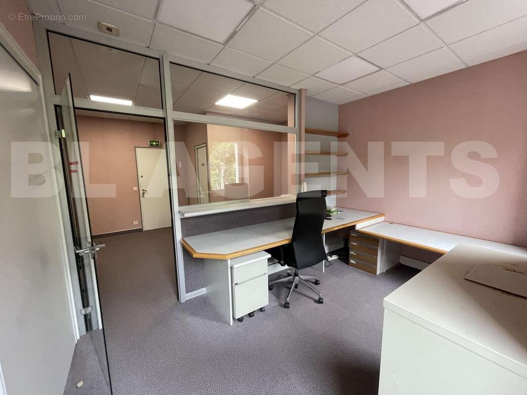 IMG_1474 - Commerce à MAZAMET