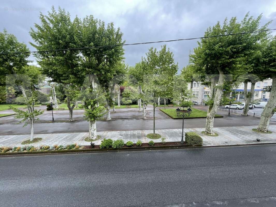 IMG_1475 - Commerce à MAZAMET