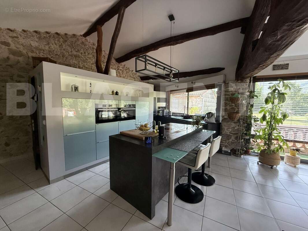 IMG_0731 - Maison à AIGUEFONDE