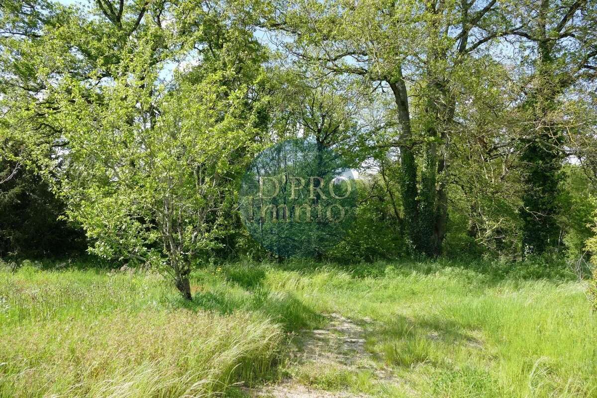 Terrain à AIGREFEUILLE-SUR-MAINE