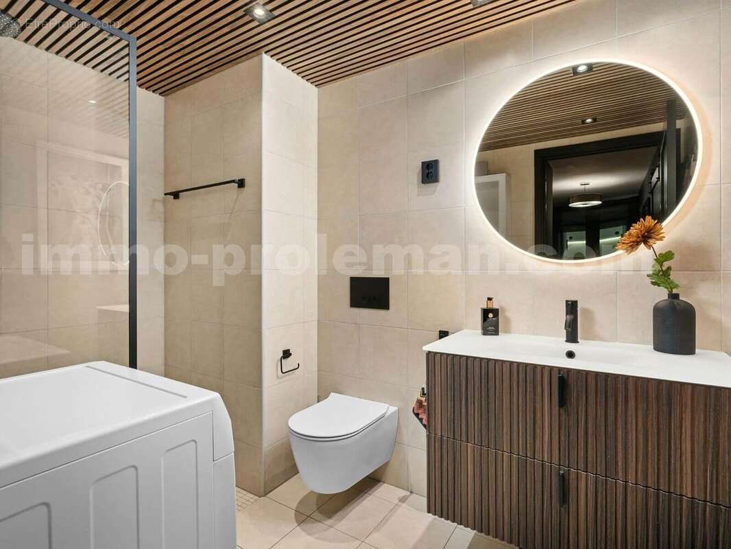 sdb 3 - Appartement à ANNEMASSE