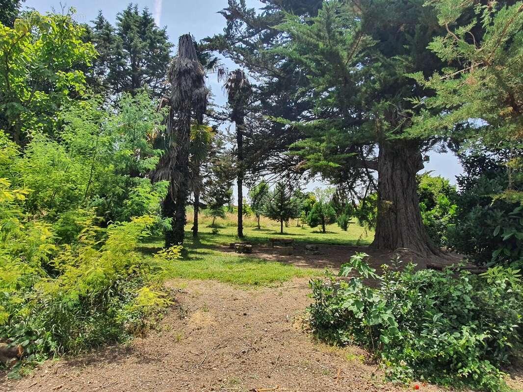 Maison à SAUVETERRE-DE-GUYENNE