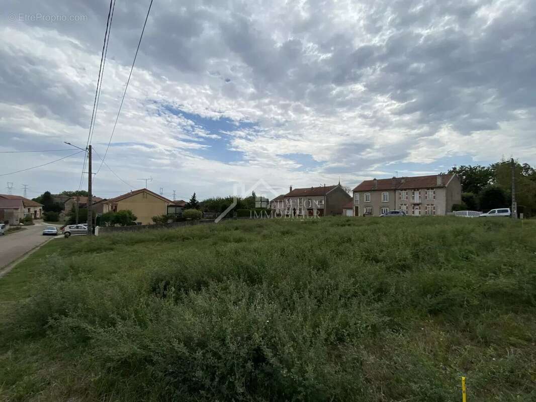 Terrain à PORT-SUR-SEILLE