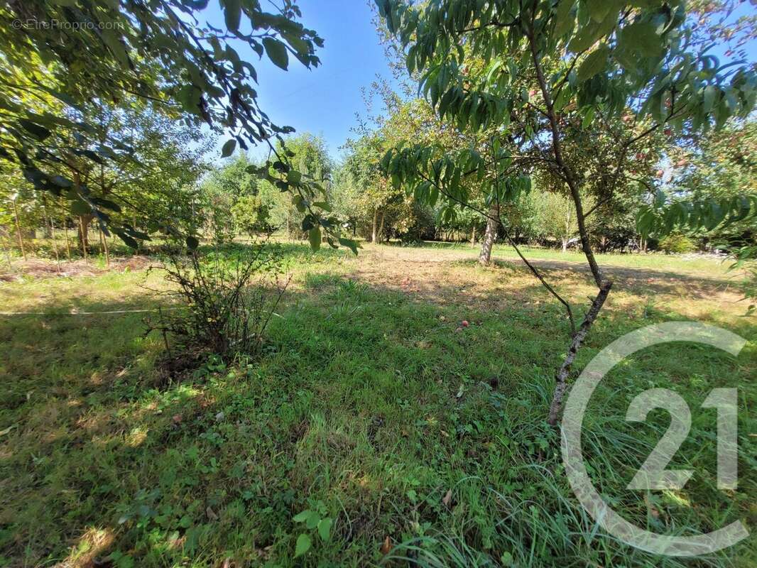 Maison à MONTPONT-EN-BRESSE