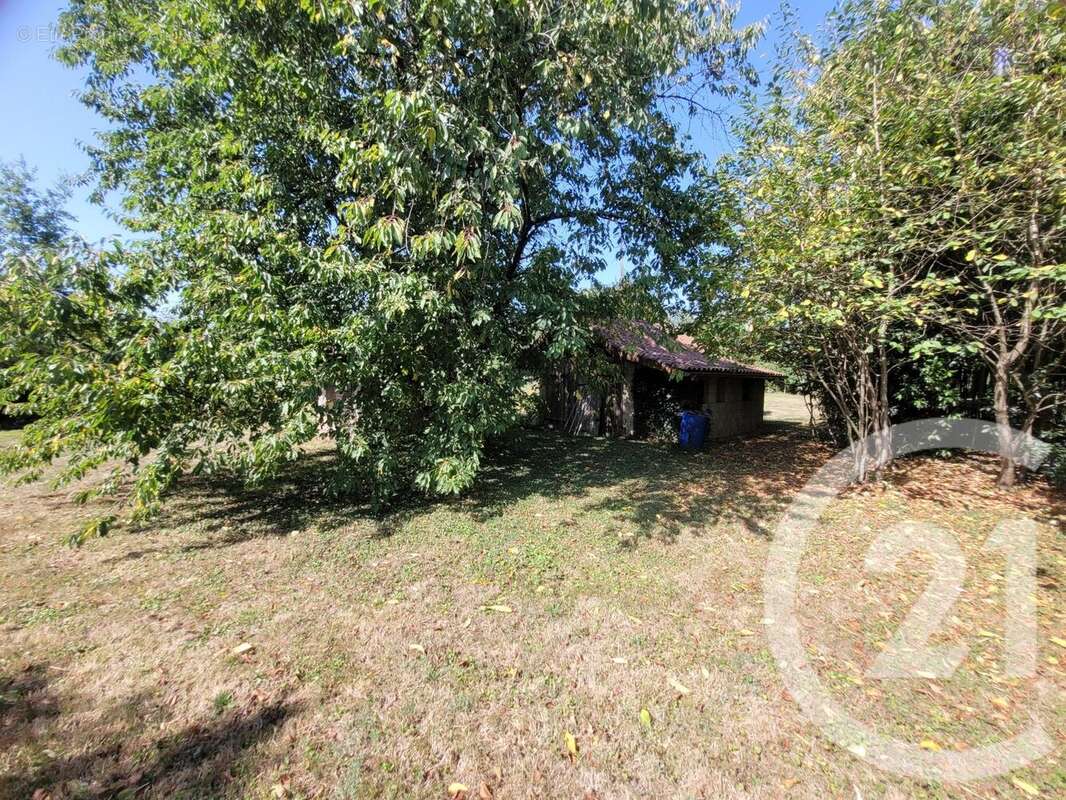 Maison à MONTPONT-EN-BRESSE