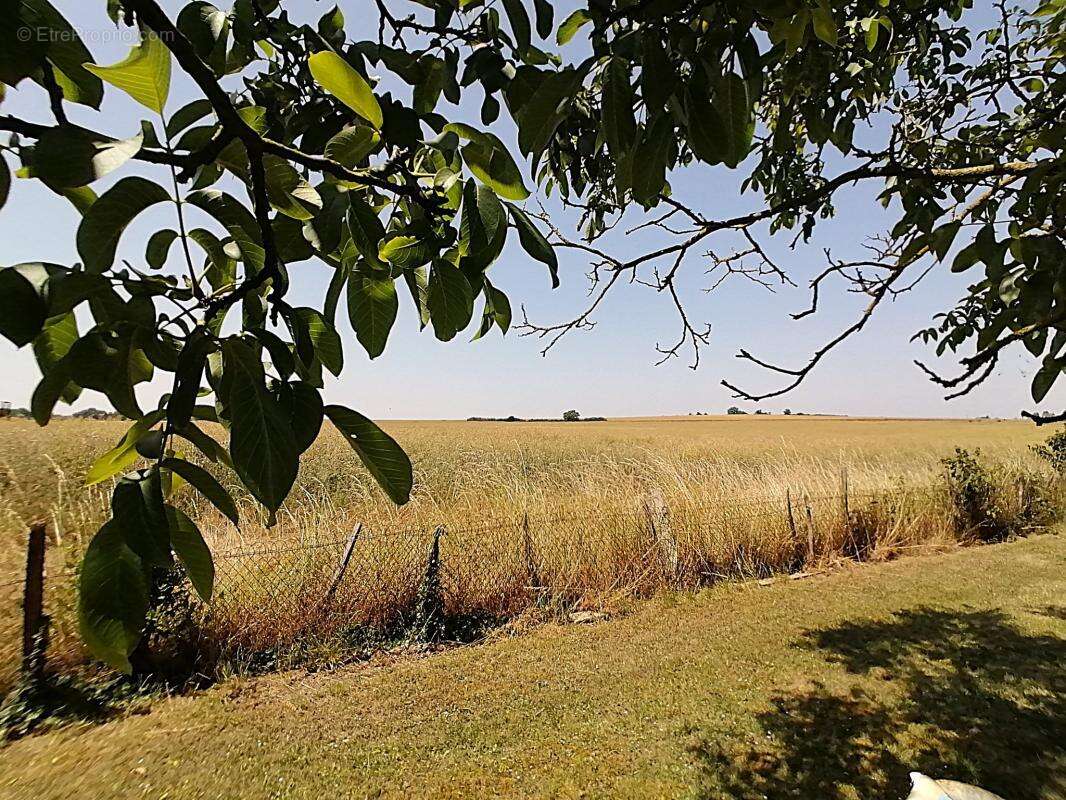 Maison à VOUNEUIL-SOUS-BIARD