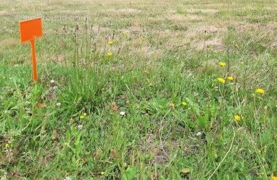 Terrain à PREFAILLES