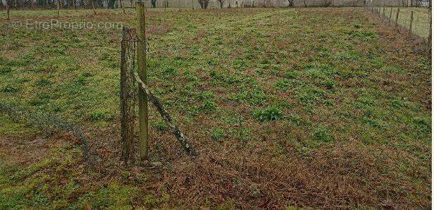Terrain à PREFAILLES