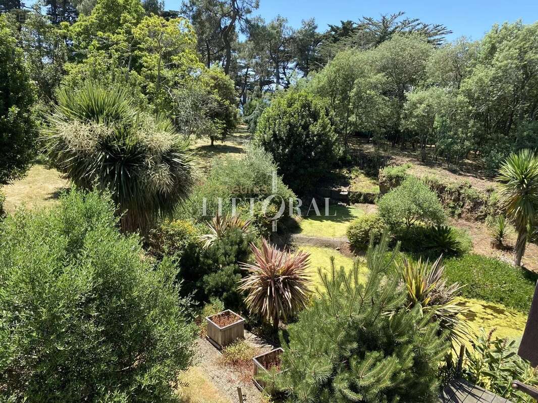 Maison à ILE-D&#039;ARZ