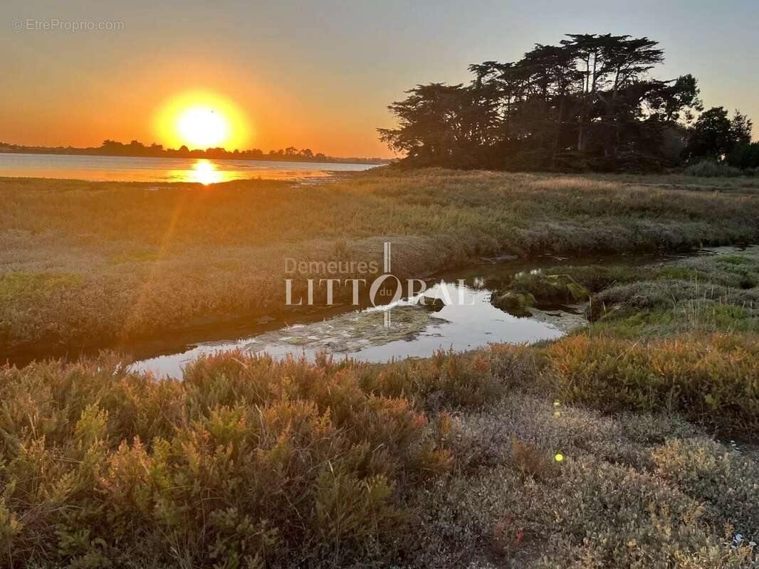 Maison à ILE-D&#039;ARZ