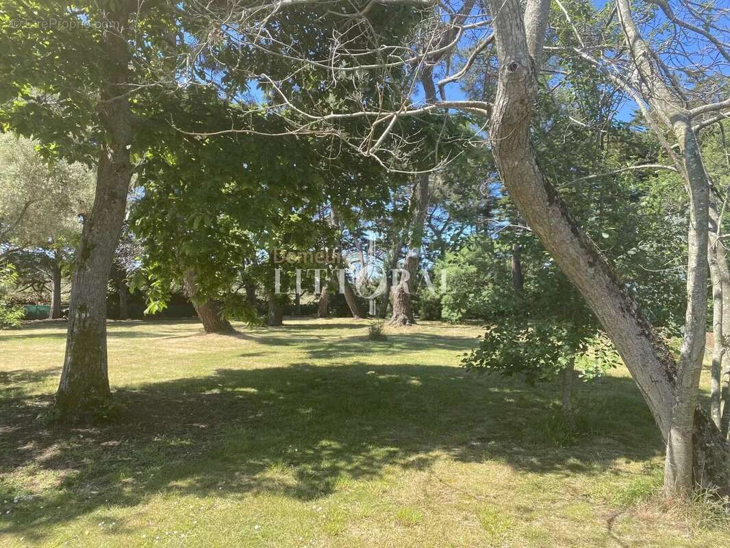 Maison à ILE-D&#039;ARZ