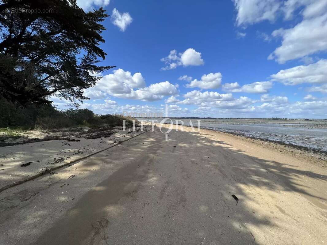 Maison à ILE-D&#039;ARZ