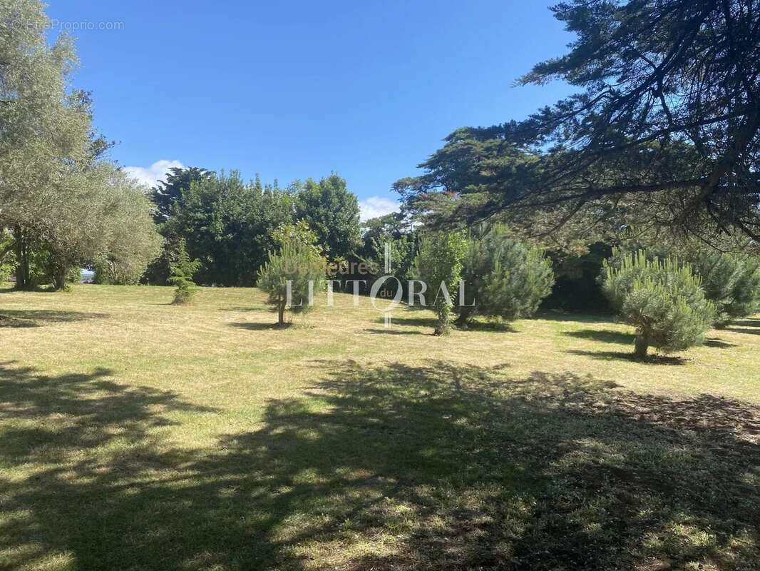 Maison à ILE-D&#039;ARZ