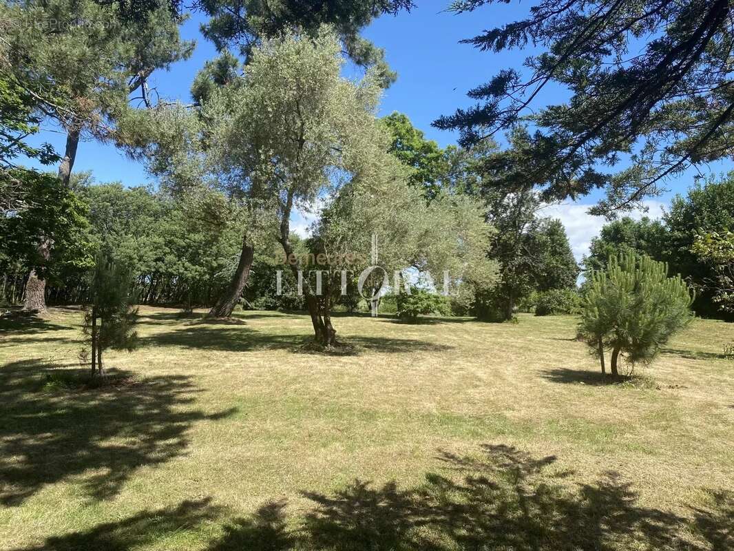 Maison à ILE-D&#039;ARZ