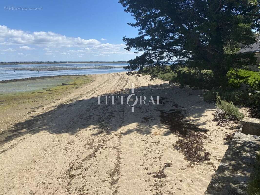 Maison à ILE-D&#039;ARZ