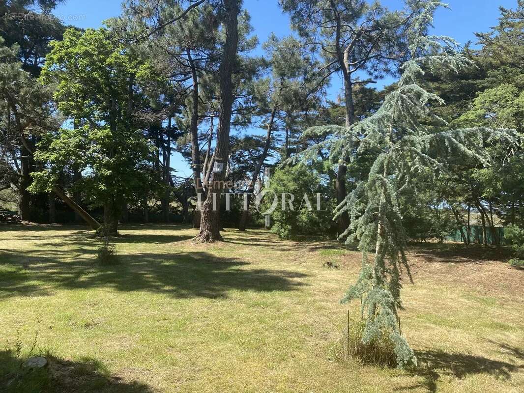 Maison à ILE-D&#039;ARZ