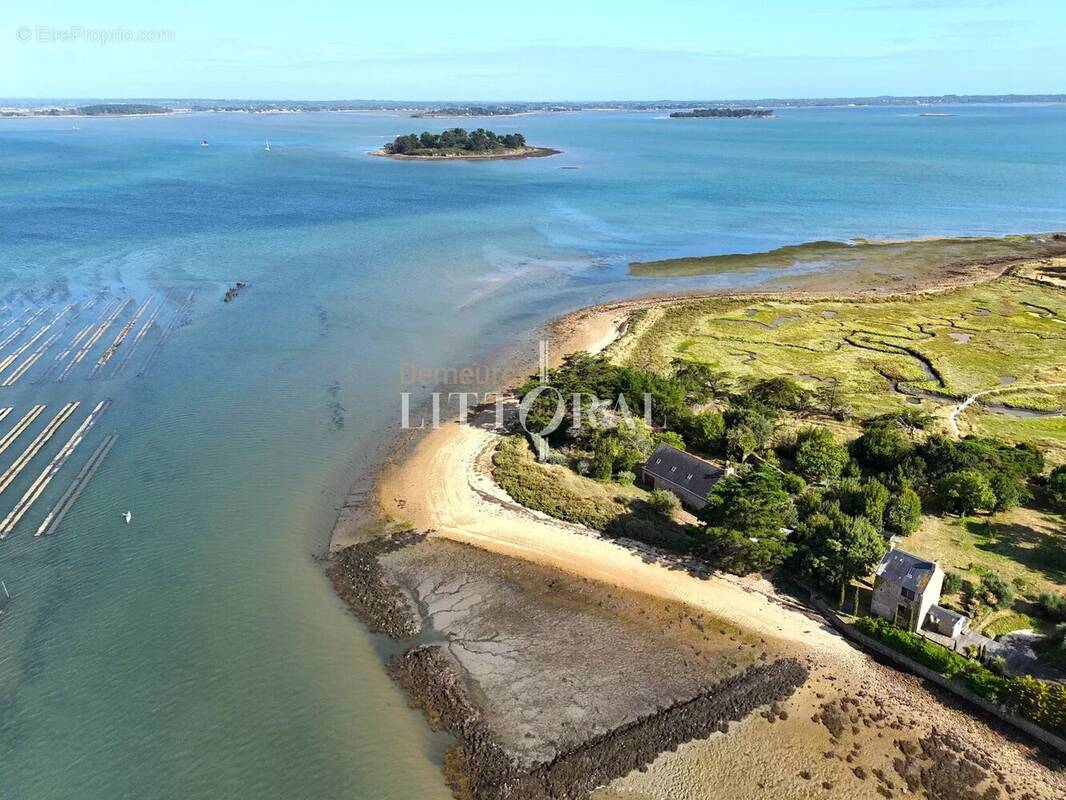 Maison à ILE-D&#039;ARZ