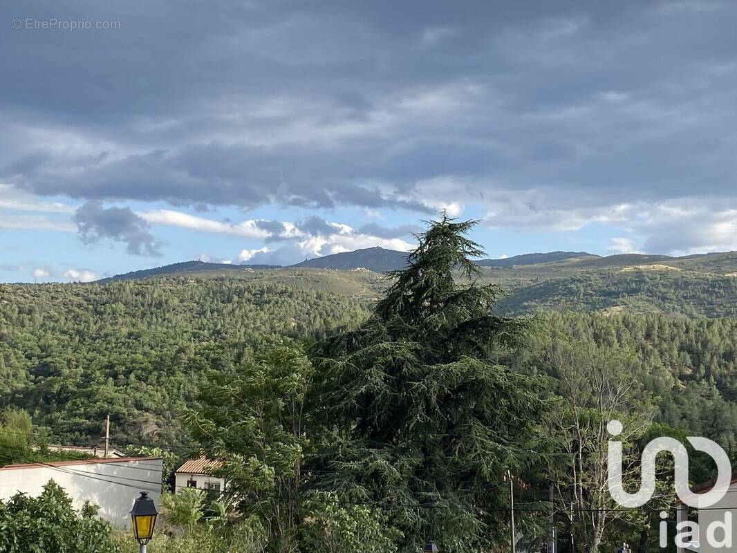 Photo 2 - Maison à PEZILLA-LA-RIVIERE