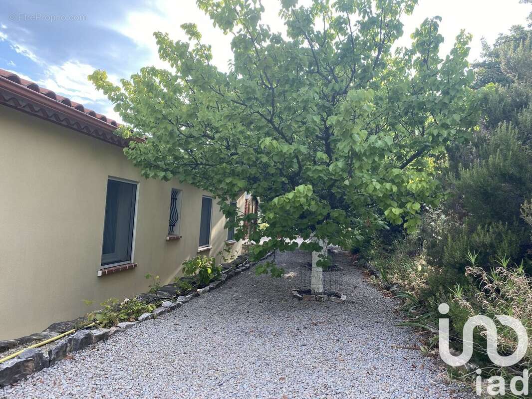 Photo 8 - Maison à PEZILLA-LA-RIVIERE