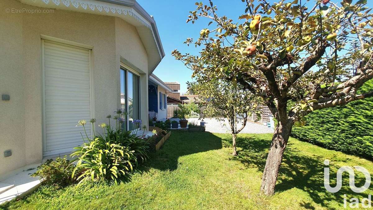 Photo 3 - Maison à GUJAN-MESTRAS