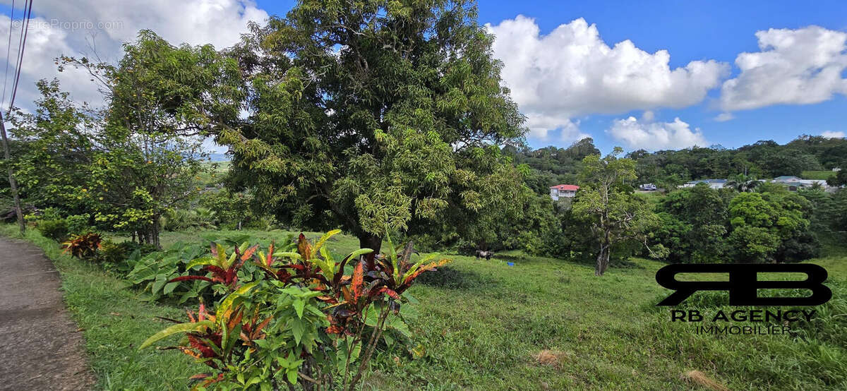 Terrain à LE ROBERT