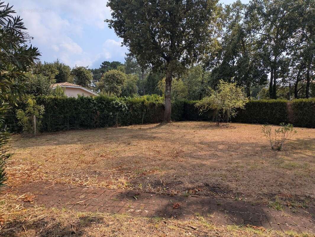 Terrain à ANDERNOS-LES-BAINS