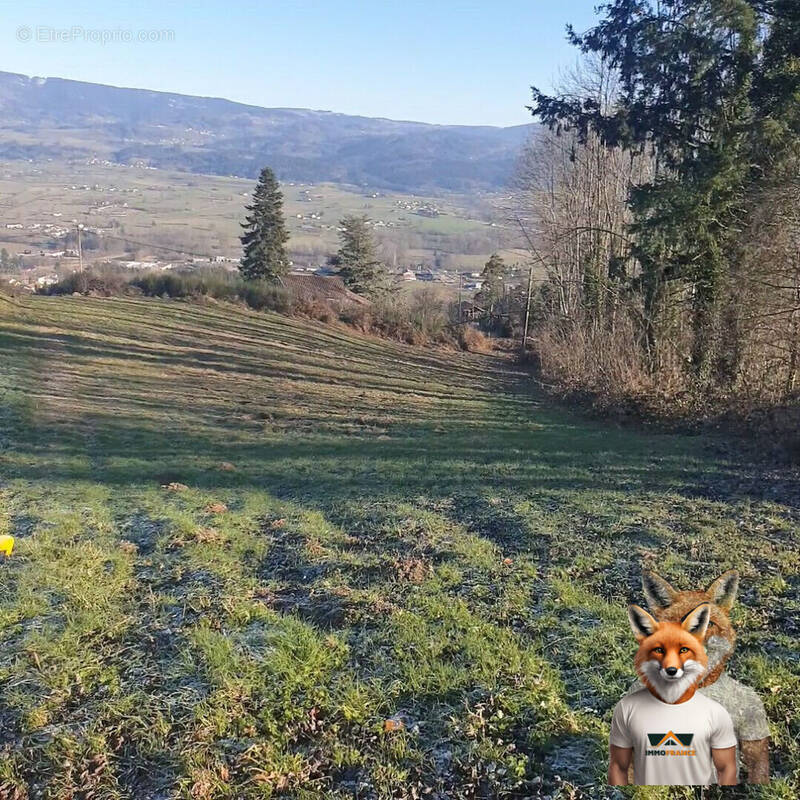 Terrain à SAINT-FERREOL-DES-COTES