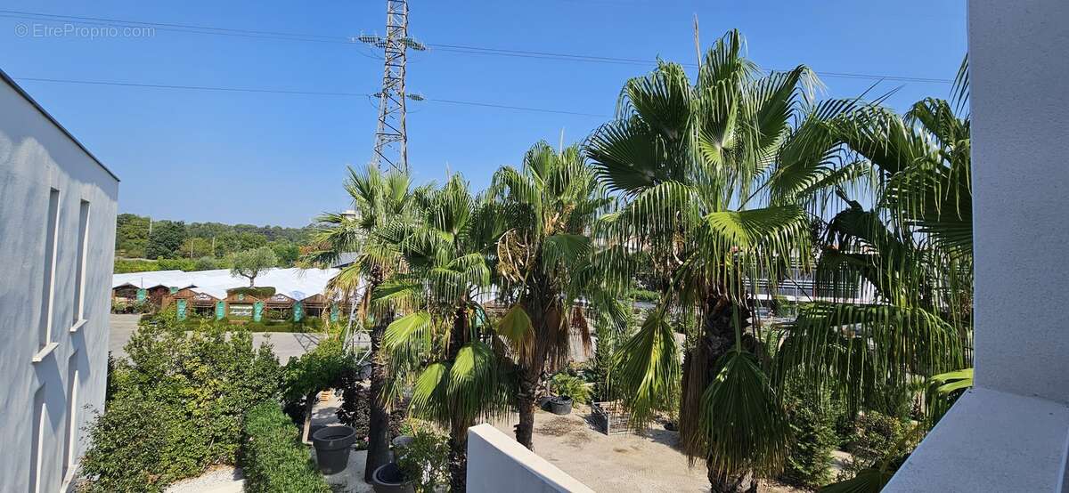 Appartement à CASTELNAU-LE-LEZ